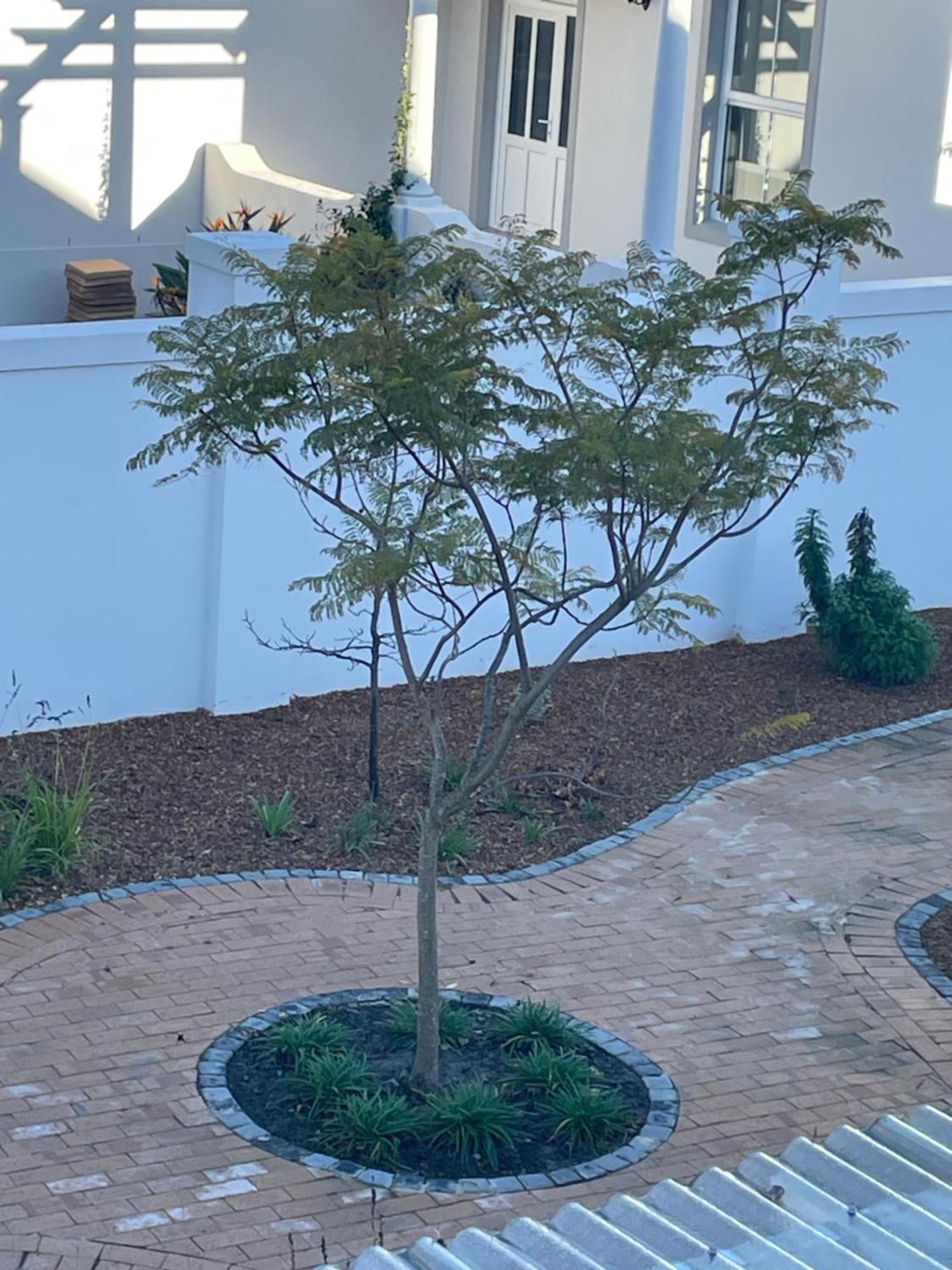 פרנצ'הוק Largest One Bed Apartment & Private Pool In The Hoek מראה חיצוני תמונה