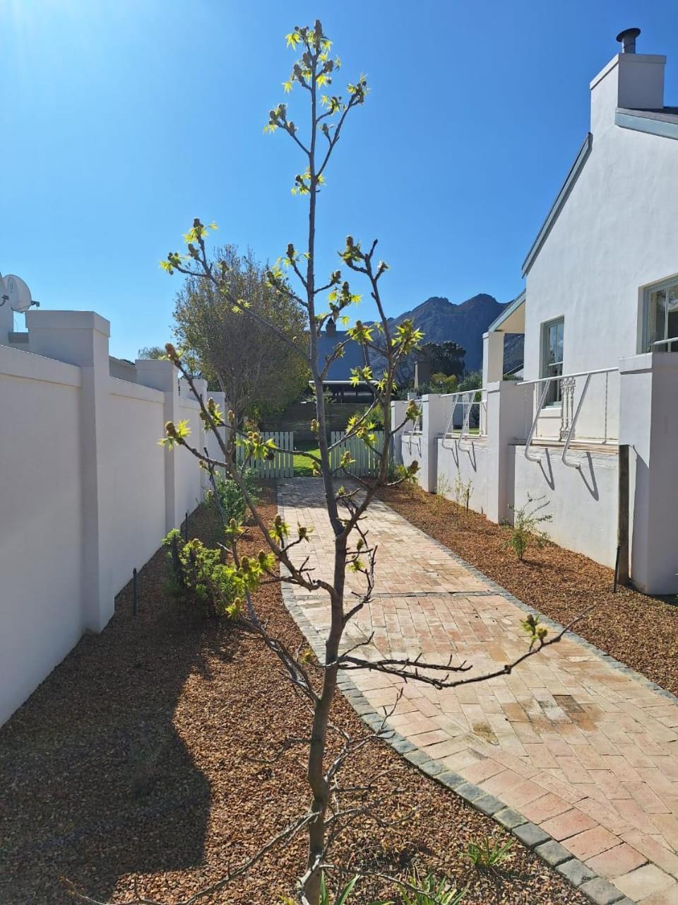 פרנצ'הוק Largest One Bed Apartment & Private Pool In The Hoek מראה חיצוני תמונה